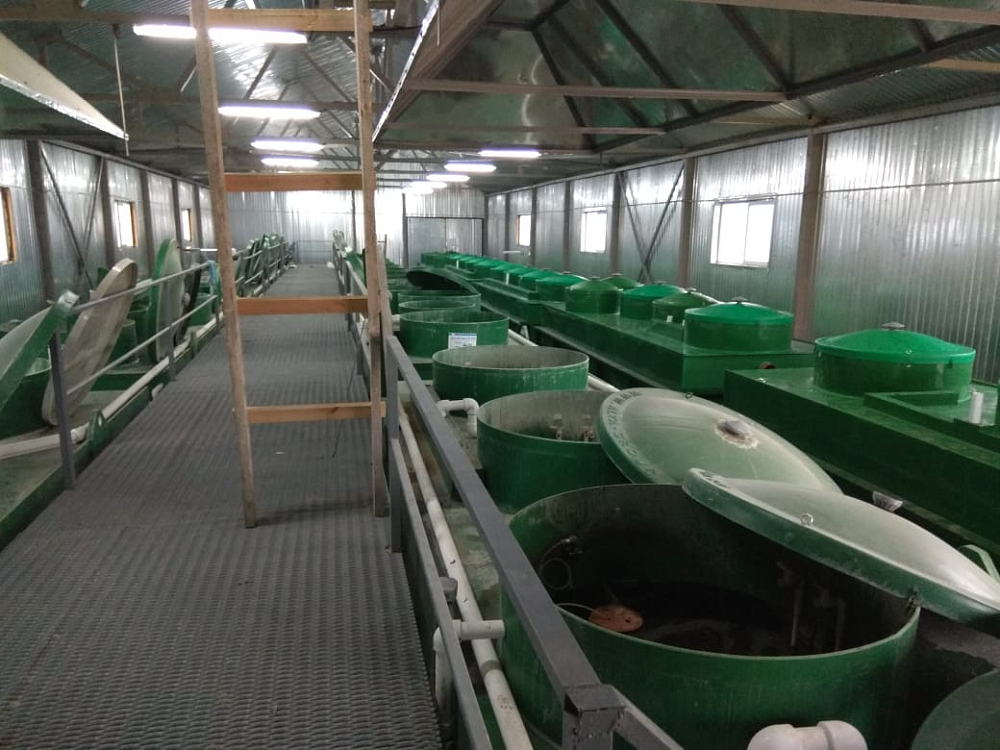 Хозяйственно-бытовой сток - 130 м3 в сутки, вахтовый поселок, Казахстан